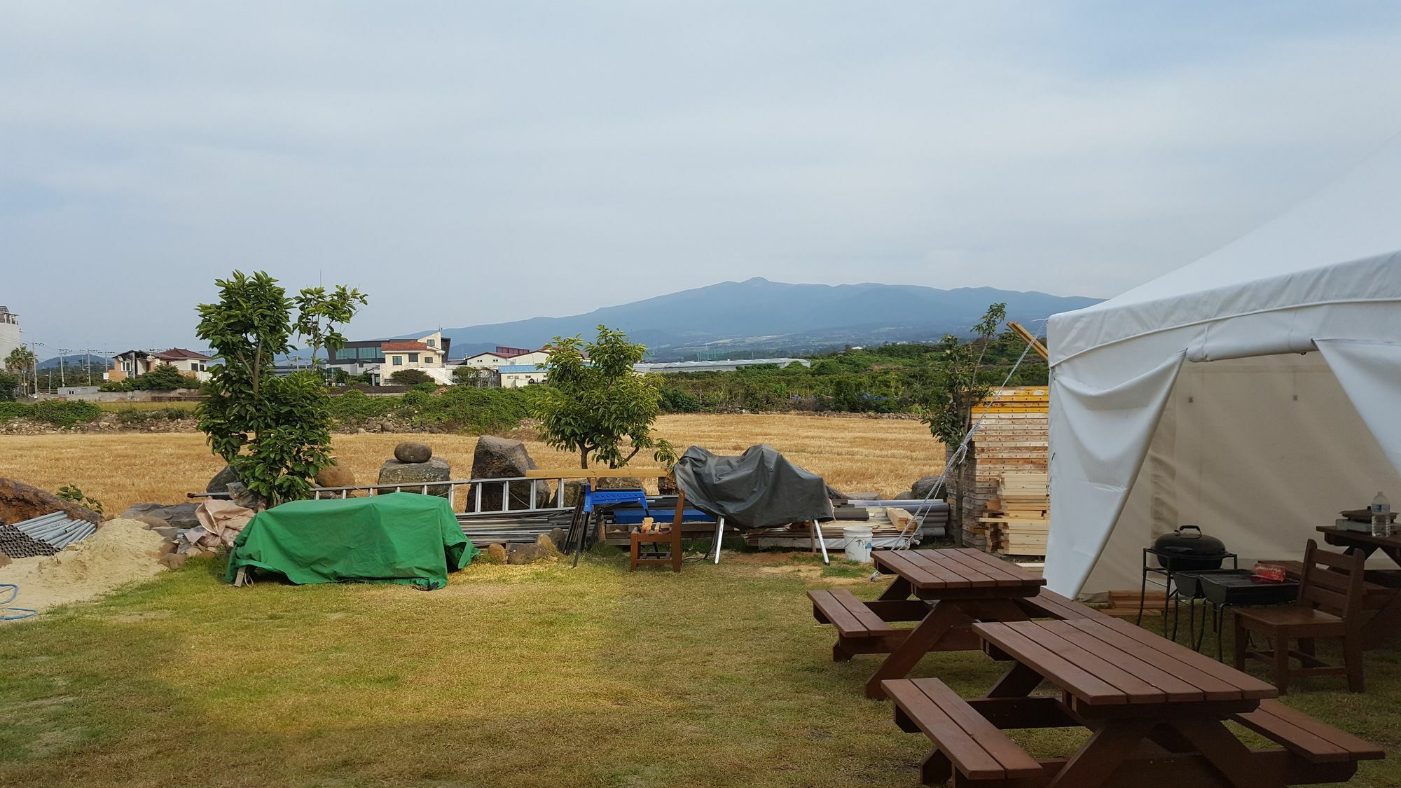 Tree House Guesthouse Jeju Exterior foto