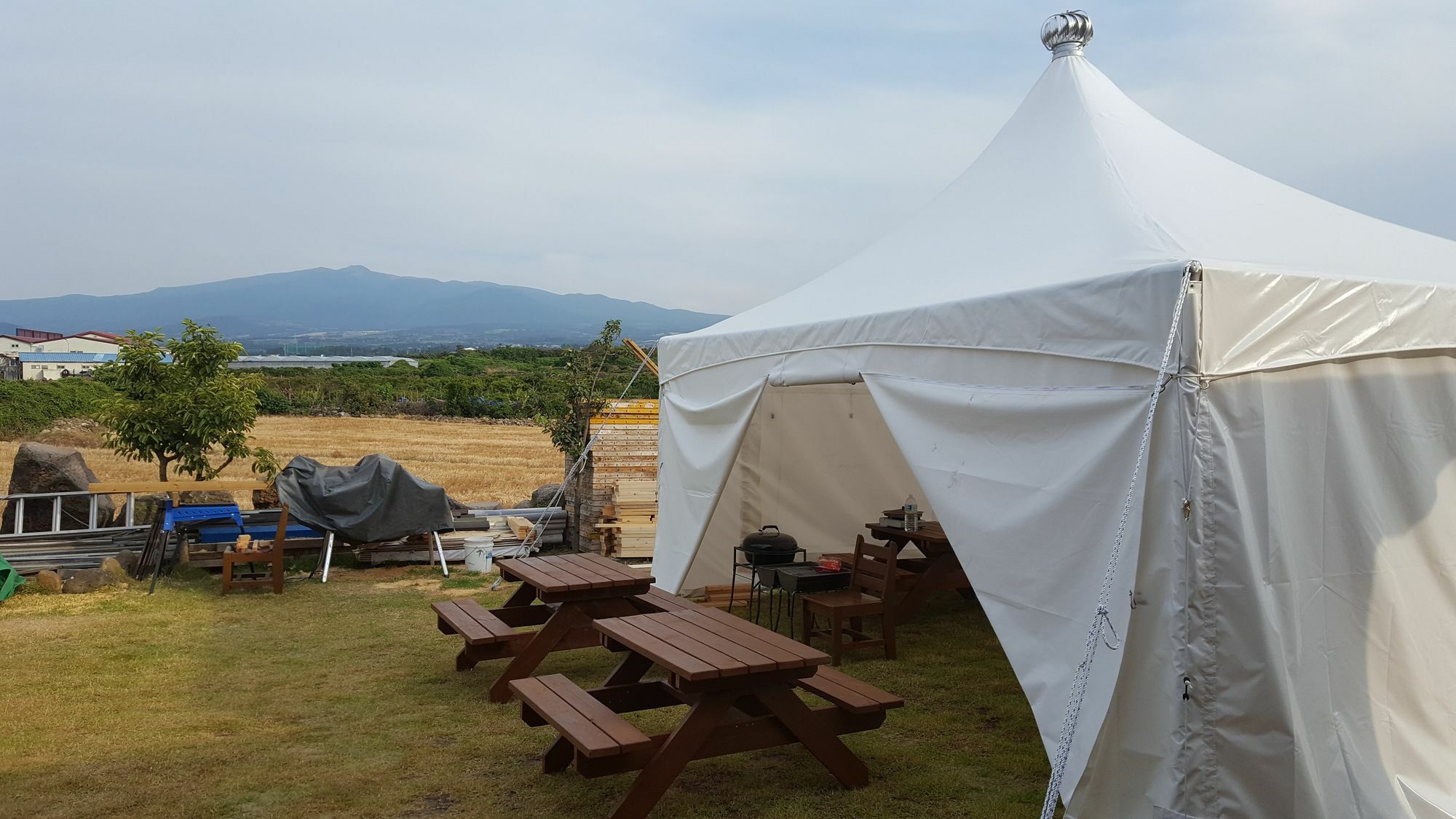 Tree House Guesthouse Jeju Exterior foto